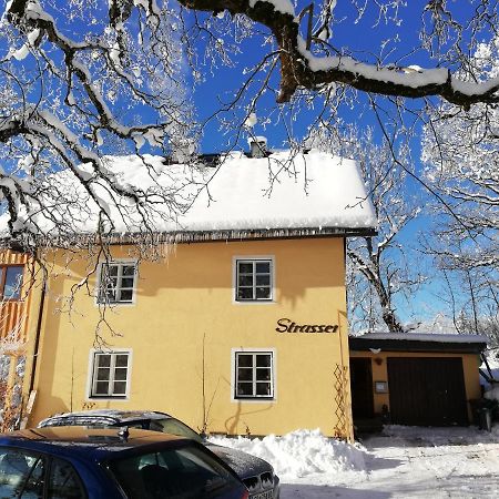 Strasser'S Mountain Home Ramsau am Dachstein Εξωτερικό φωτογραφία