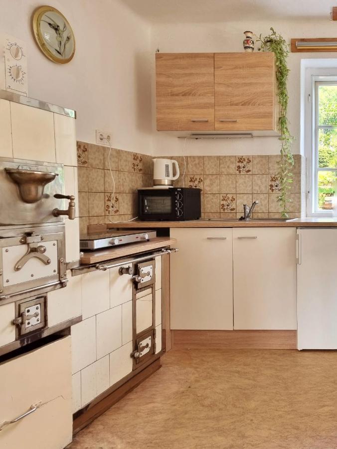 Strasser'S Mountain Home Ramsau am Dachstein Εξωτερικό φωτογραφία